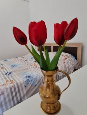 STUDIO PICO Cluj-Napoca